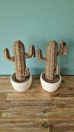 2 Rivera Maison Rattan Cactussen Met Pot, Ophalen, Zo goed als nieuw