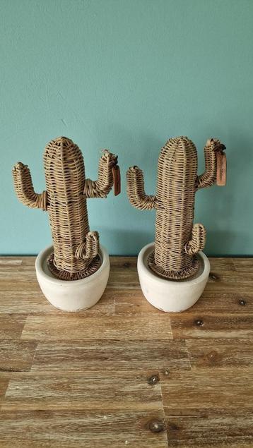 2 Rivera Maison Rattan Cactussen Met Pot beschikbaar voor biedingen
