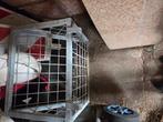 Hooi ruifen, Dieren en Toebehoren, Paarden en Pony's | Overige Paardenspullen, Ophalen of Verzenden, Overige soorten