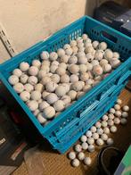 2000 golfballen alle merken., Overige merken, Gebruikt, Bal(len), Ophalen of Verzenden