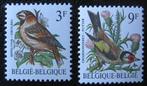 BELGIË 2 - Dieren: vogels, Ophalen of Verzenden, Postfris, Dier of Natuur