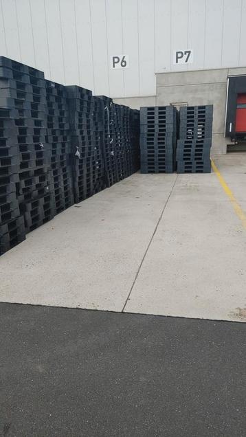 Partij Plastic export Pallets  beschikbaar voor biedingen
