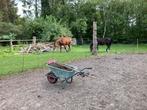Gratis Zuivere Paardenmest - Zonder Stro/Zand, Tuin en Terras, Aarde en Mest, Ophalen, Mest