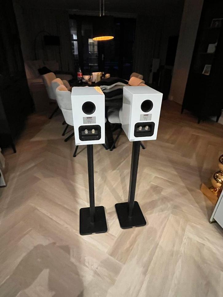 Dynaudio Excite  X12 - Top Speakers!, Audio, Tv en Foto, Luidsprekers, Gebruikt, Front, Rear of Stereo speakers, 60 tot 120 watt