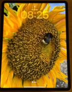 Apple iPad Pro 12.9 M2 6e gen 128GB + Pencil, Ophalen, Gebruikt, Apple iPad, 12 inch