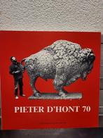 Pieter D'Hont 70 - Centraal Museum Utrecht, Ophalen of Verzenden, Zo goed als nieuw, Beeldhouwkunst, Pieter D'Hont