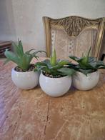 Nieuw. 3 kunstplantjes 10 cm hoog, Ophalen of Verzenden, Overige soorten, Minder dan 100 cm