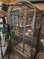 Grote papegaaien kooi, Ophalen