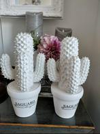 Riviera Maison Cactussen ( grootste maat), Ophalen of Verzenden, Zo goed als nieuw