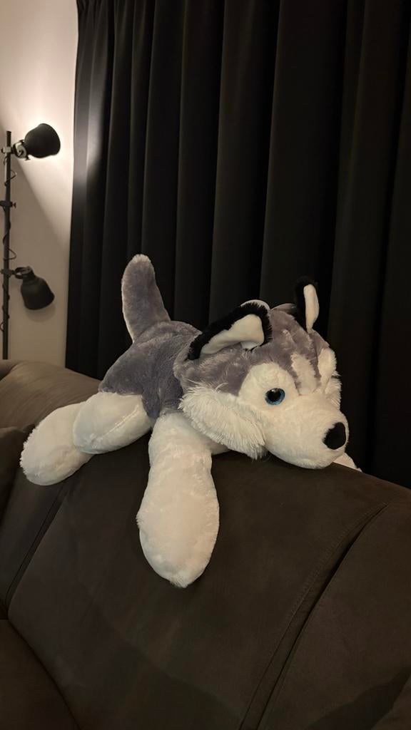 Grote zachte husky knuffel - Nieuw met label, Ophalen, Nieuw, Hond