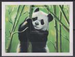 Angola Blok 56 panda 1999 postfris, Postzegels en Munten, Postzegels | Thematische zegels, Ophalen of Verzenden, Postfris, Dier of Natuur