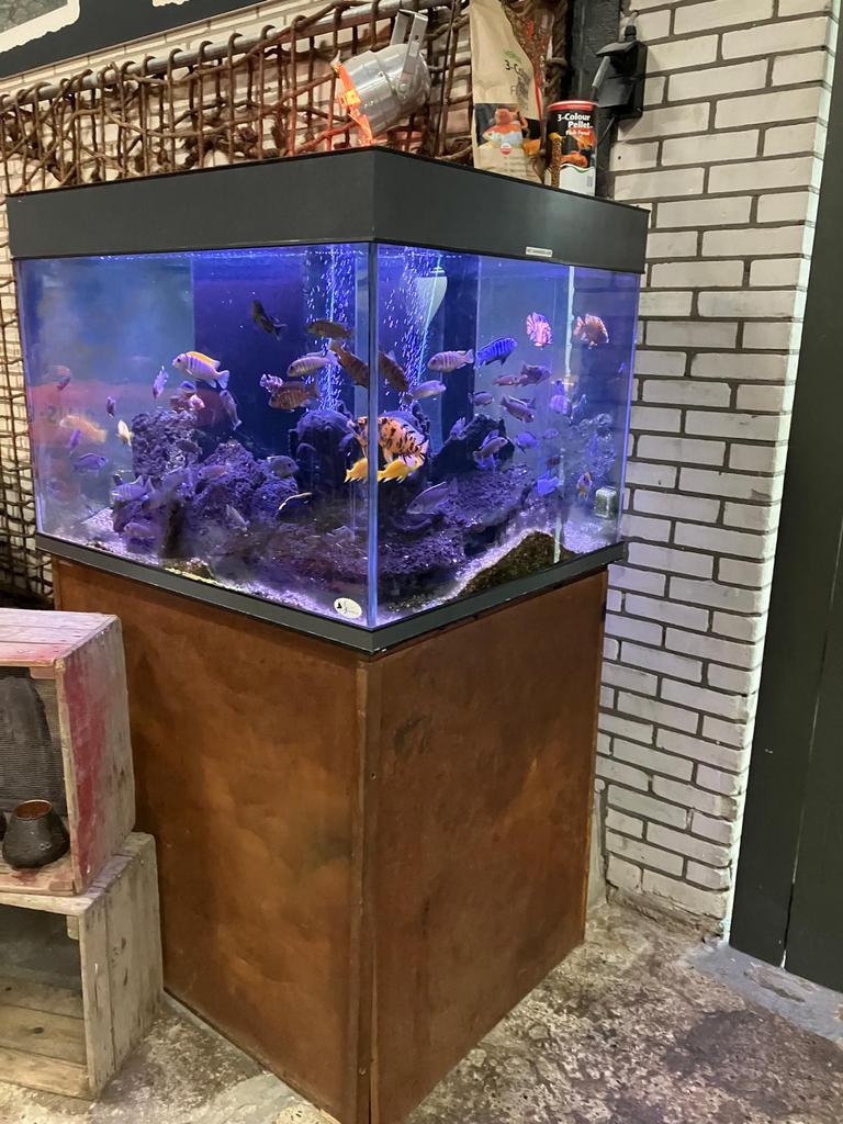 Groot aquarium. Sealife custom made., Ophalen, Zo goed als nieuw, Leeg aquarium
