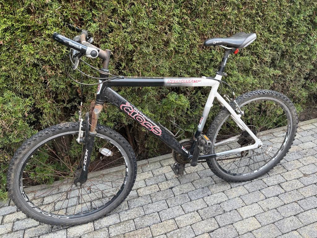 Heren mountainbike - Opknapper met roest, Gebruikt, Hardtail, Heren, 53 tot 57 cm