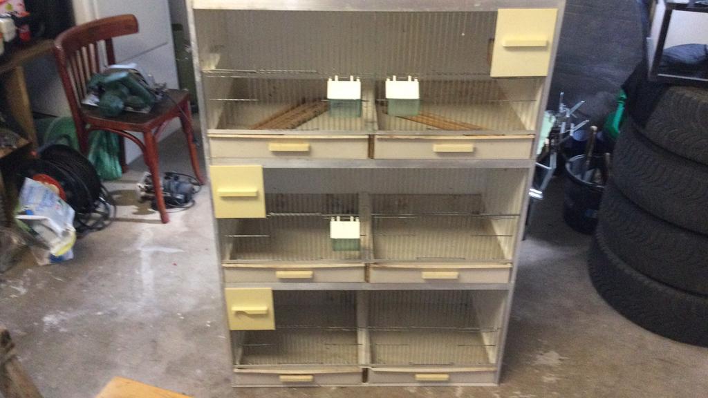 Gehu vogelkooien., Mannelijk, Parkiet