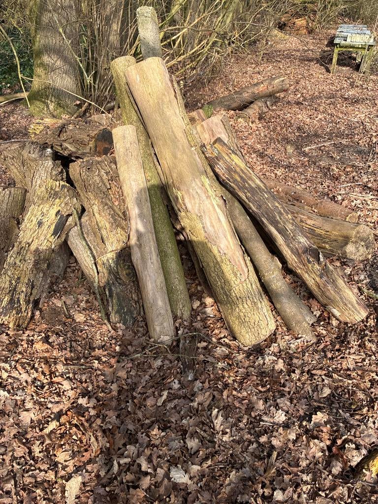 Brandhout: Diverse Stammen en Blokken, Tuin en Terras, Haardhout, 3 tot 6 m³, Ophalen of Verzenden, Overige houtsoorten, Stammen