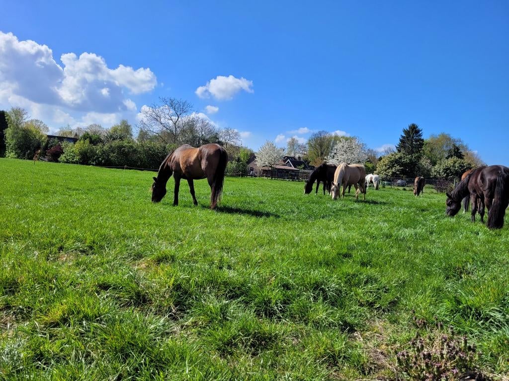 Vol pension plek aangeboden