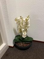 Kunst orchidee met pot, Ophalen, Halfschaduw, Minder dan 100 cm
