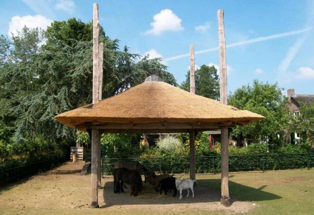 Hooiberg tijdelijke actie!