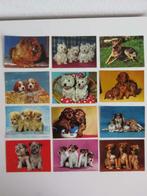 Set van 12 vintage Krüger ansichtkaarten met honden, Ophalen of Verzenden, 1960 tot 1980, Ongelopen, Hond of Kat