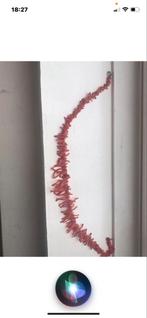 Bloedkoraal ketting met zilveren sluiting - 47 cm, Gebruikt, Ophalen of Verzenden, Met edelsteen, Rood