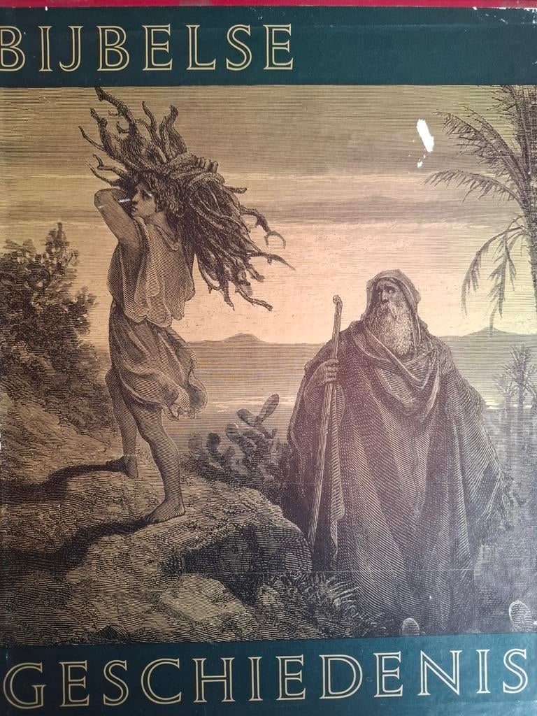 Bijbelse Geschiedenis - Oude en Nieuwe Testament, Antiek en Kunst, Antiek | Boeken en Bijbels, Ophalen of Verzenden, Wolfenbüttel van Rooyen