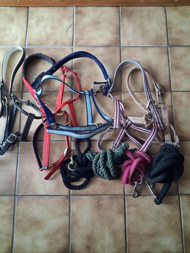 Halsters full, Ophalen of Verzenden, Overige soorten