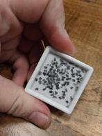 Kleine gezaagde diamant chips, Ophalen of Verzenden