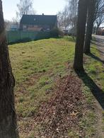 Weide te huur!, Dieren en Toebehoren