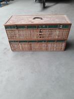 Duivenkorf mand. gratis ophalen., Meerdere dieren, Overige soorten