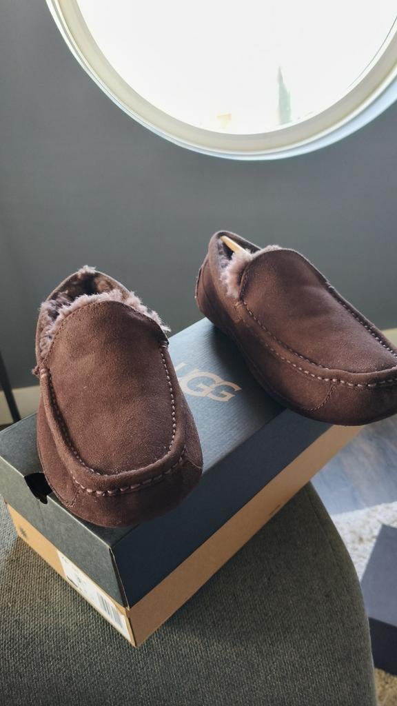 UGGS Ascot, bruin met de bonte voering ook in bruin, mt 8 UK, Ophalen of Verzenden, Nieuw, Bruin