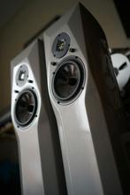 Diapason Nux hoogwaardige Italiaanse zuilen luidsprekers, Gebruikt, 60 tot 120 watt, Front, Rear of Stereo speakers, Ophalen