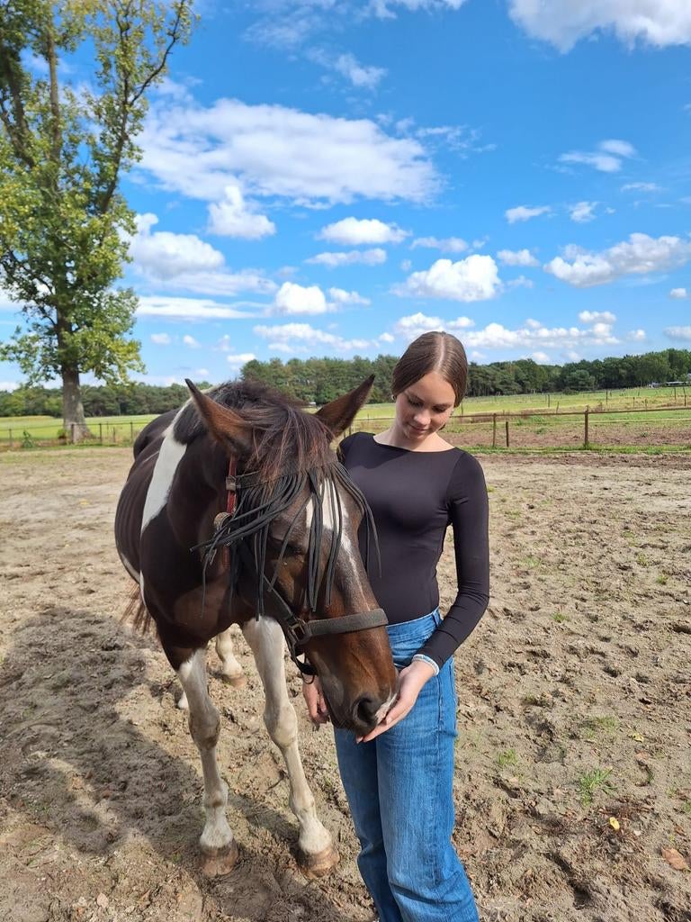 Verzorger/bijrijder aangeboden