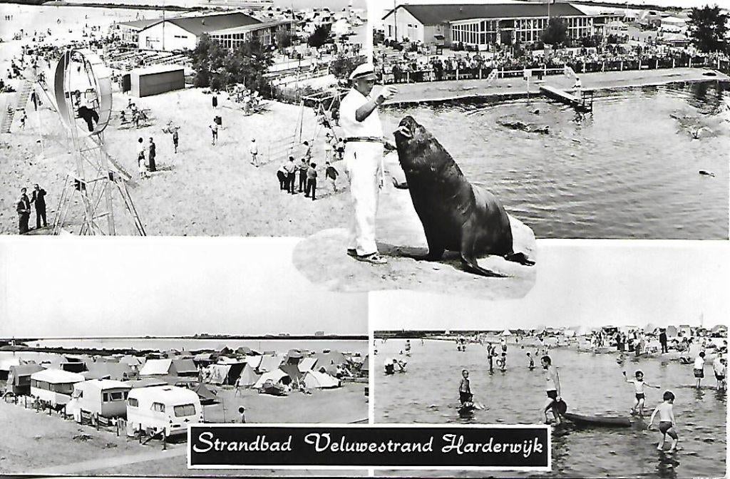 Harderwijk- -4-luik, Veluwestrand., Verzenden, 1960 tot 1980, Ongelopen, Gelderland