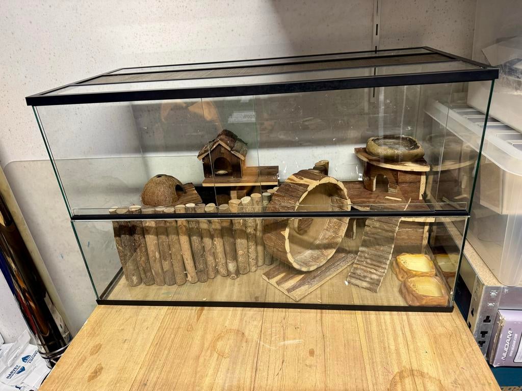 Prachtig glazen hamsterhok (78x48x38cm) – Volledig Compleet!, Muis, Zo goed als nieuw, Hok, 75 tot 110 cm