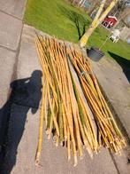 Dikke bamboe stokken, Tuin en Terras, Ophalen, Nieuw, Overige typen