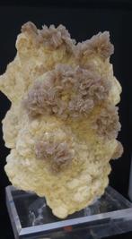 Barietroosjes op zwavel, Verzamelen, Ophalen of Verzenden