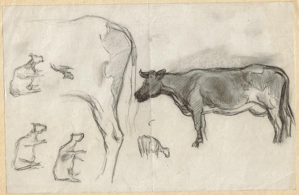 Willem Maris krijttekening "Studie Koeien/Kalveren" oplegvel, Ophalen