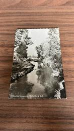 Valkenburg Geuldal, Ophalen of Verzenden, 1940 tot 1960, Gelopen, Natuur