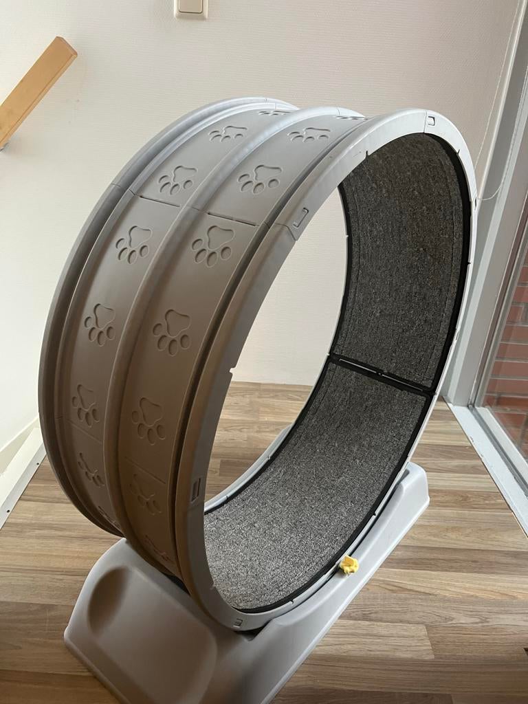 Loopwiel voor katten, Ophalen