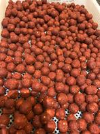 Ultra spice boilie, Ophalen of Verzenden, Nieuw, Overige typen