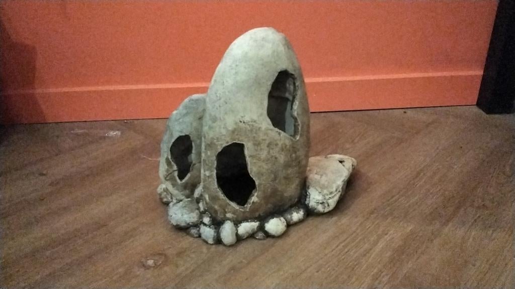 Beeld voor in aquarium, Dieren en Toebehoren, Vissen | Aquaria en Toebehoren, Ophalen of Verzenden