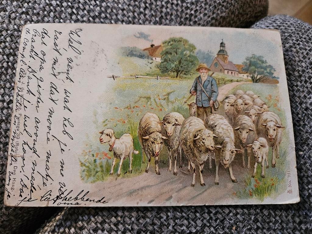 Arnhem herder met schapen 1905, Ophalen of Verzenden