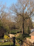 Kledingpakket maat l, Ophalen of Verzenden, Zo goed als nieuw, Maat 42/44 (L), Korte mouw