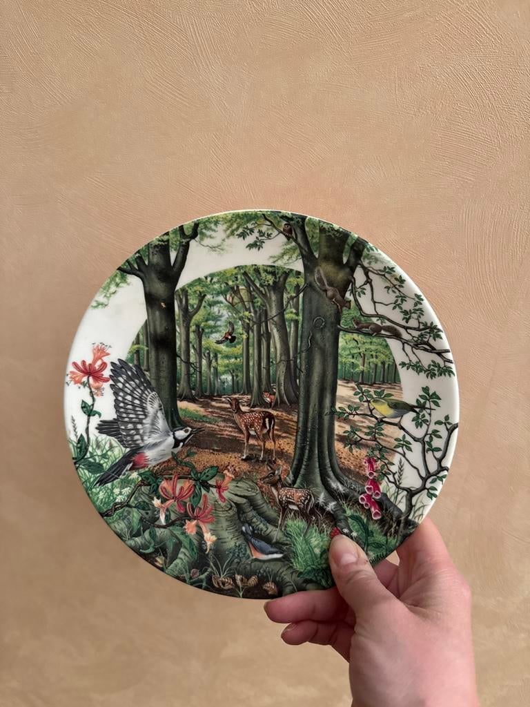 Wedgwood 'The Beechwood' Bord, Antiek en Kunst, Antiek | Wandborden en Tegels, Ophalen