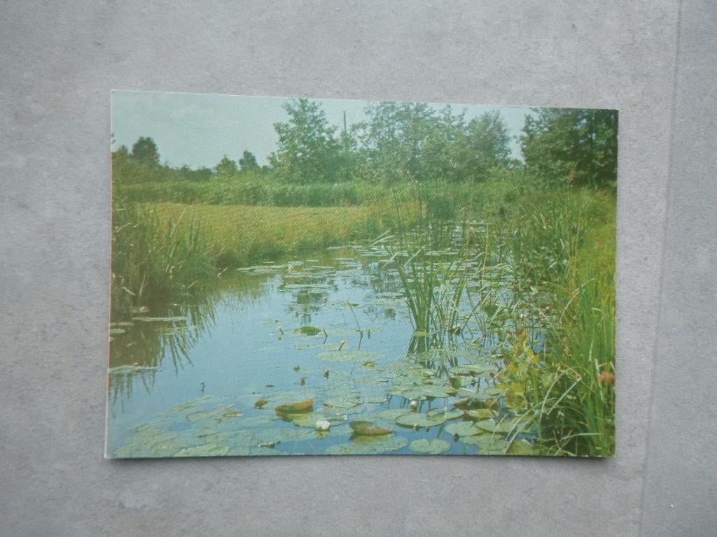 Ossenzijl, natuur, Verzenden, 1980 tot heden, Ongelopen, Gelderland