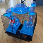 Dwerghamster kooi, Minder dan 60 cm, Kooi, Minder dan 75 cm, Ophalen of Verzenden