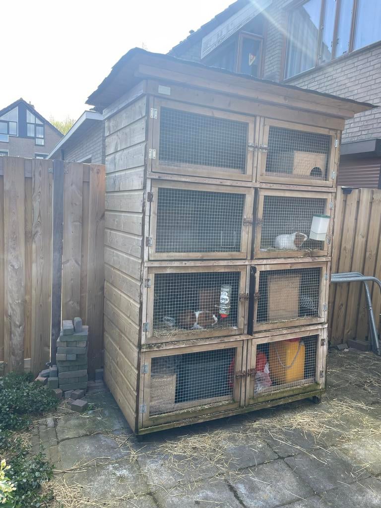 Cavia/konijnen flat, Dieren en Toebehoren, Knaagdieren en Konijnen | Hokken en Kooien, Ophalen of Verzenden, 90 cm of meer, Konijn