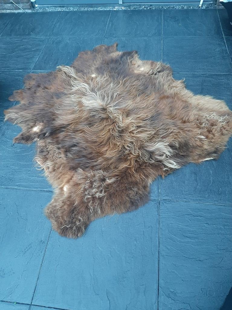 Langharige Schotse hooglander vacht, Ophalen of Verzenden, Rechthoekig, 200 cm of meer