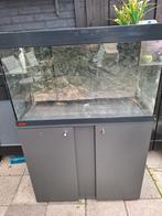 Aquarium, Ophalen, Leeg aquarium