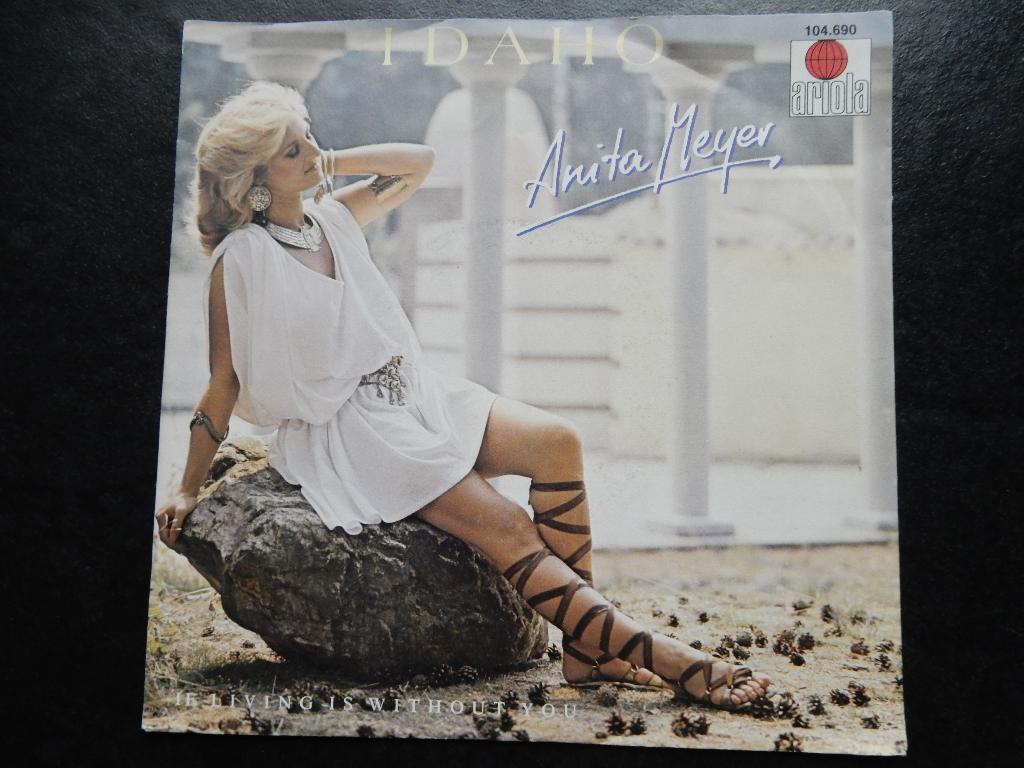 Anita Meyer - Idaho, Ophalen of Verzenden, Gebruikt, Pop